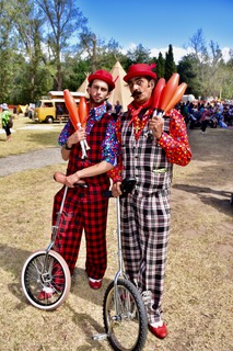 Anti Gravity Circus Duo